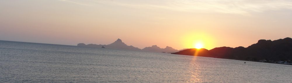 Maria del Mar Mancha-Cisneros