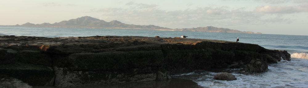 Maria del Mar Mancha-Cisneros