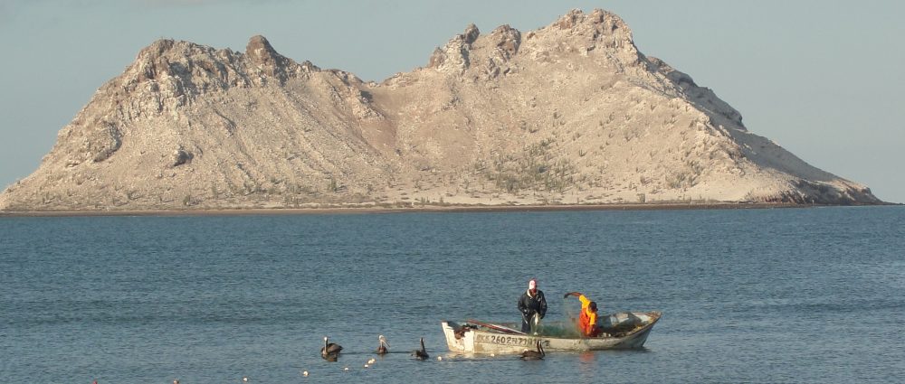 Maria del Mar Mancha-Cisneros