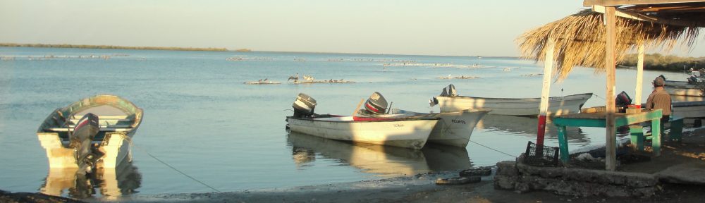 Maria del Mar Mancha-Cisneros