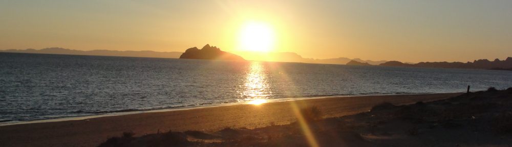 Maria del Mar Mancha-Cisneros