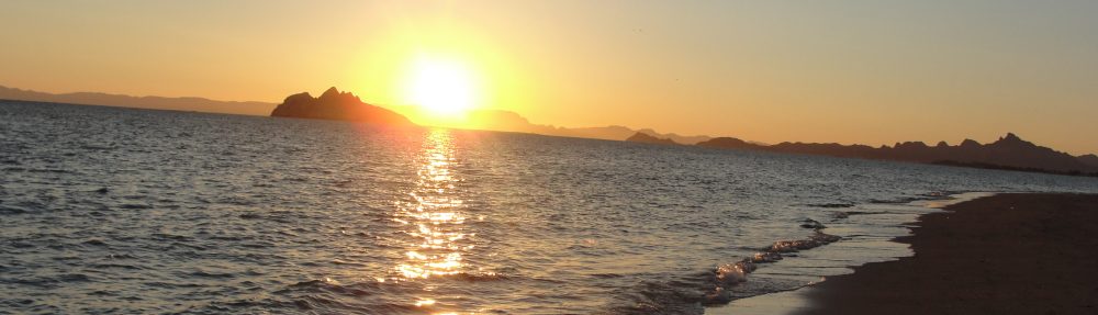 Maria del Mar Mancha-Cisneros