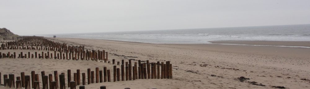 Maria del Mar Mancha-Cisneros