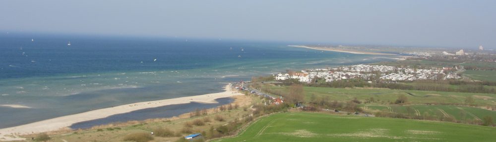 Maria del Mar Mancha-Cisneros