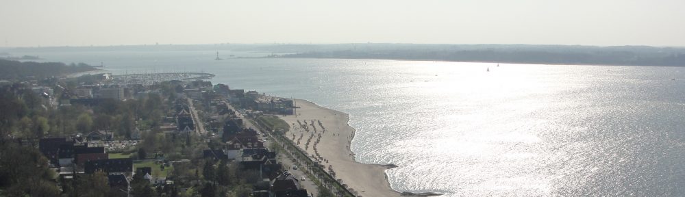 Maria del Mar Mancha-Cisneros