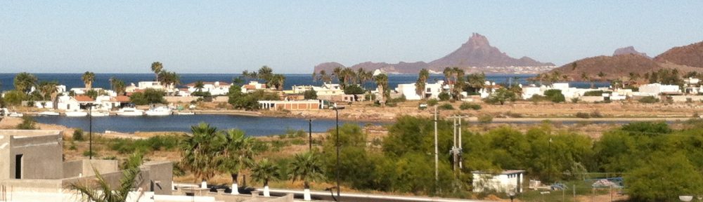 Maria del Mar Mancha-Cisneros