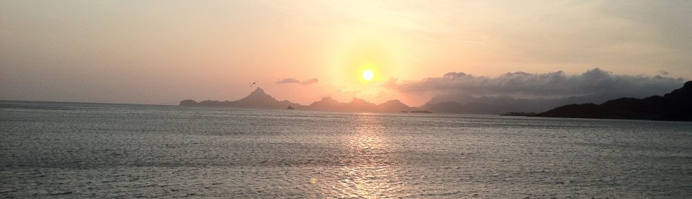 Maria del Mar Mancha-Cisneros