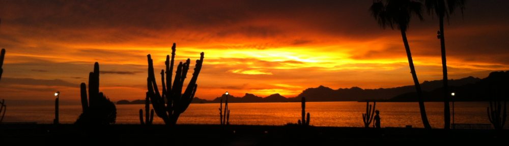 Maria del Mar Mancha-Cisneros