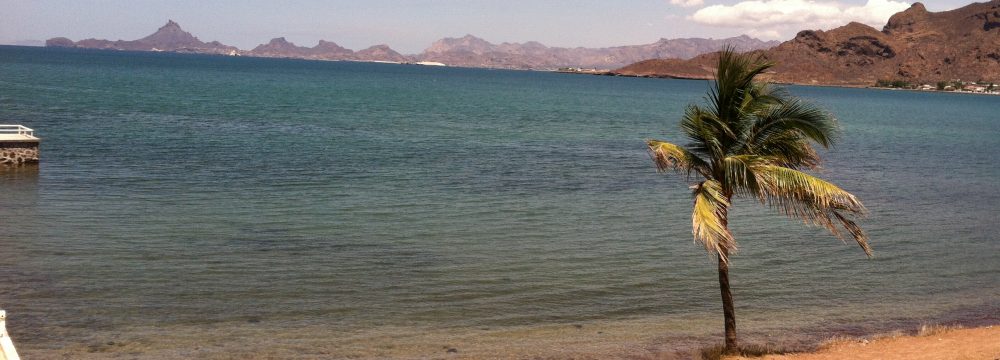 Maria del Mar Mancha-Cisneros