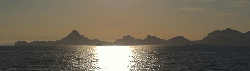 Maria del Mar Mancha-Cisneros