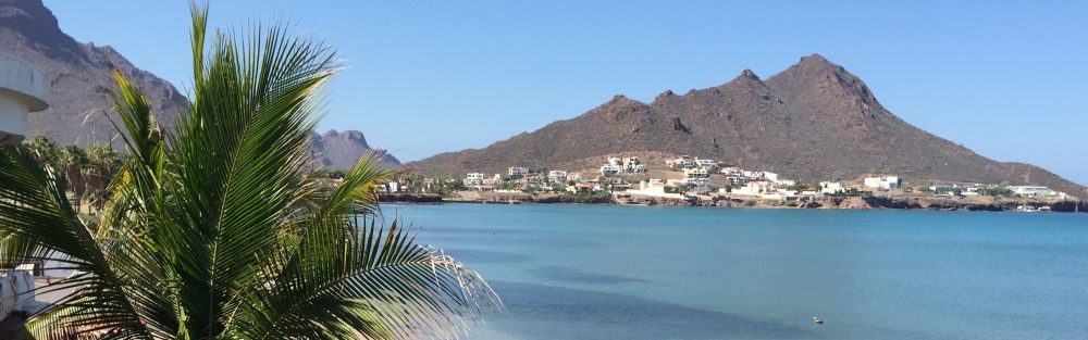 Maria del Mar Mancha-Cisneros