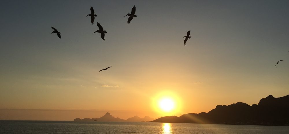 Maria del Mar Mancha-Cisneros