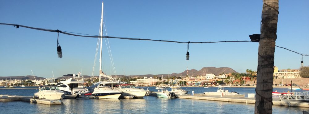 Maria del Mar Mancha-Cisneros