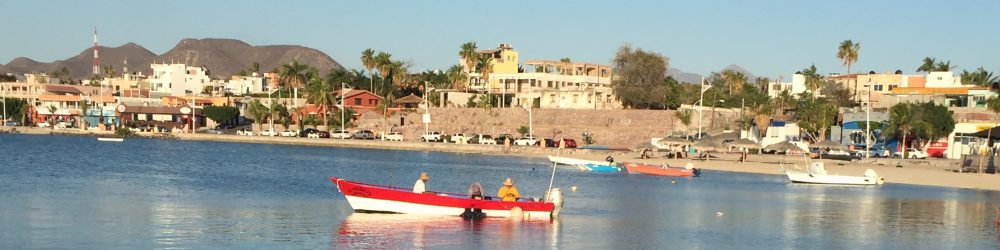 Maria del Mar Mancha-Cisneros