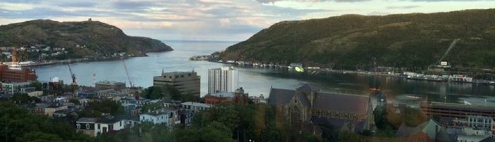 Maria del Mar Mancha-Cisneros