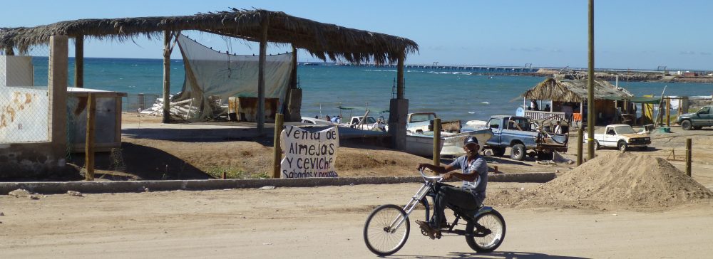 Maria del Mar Mancha-Cisneros