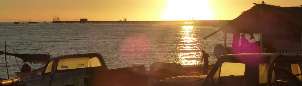 Maria del Mar Mancha-Cisneros