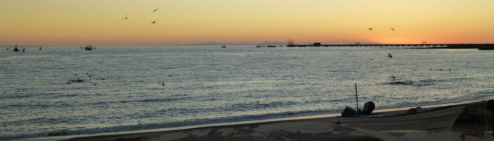 Maria del Mar Mancha-Cisneros