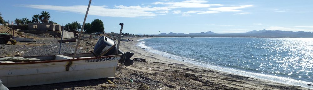 Maria del Mar Mancha-Cisneros