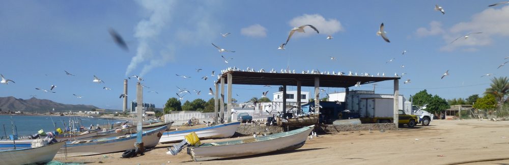 Maria del Mar Mancha-Cisneros