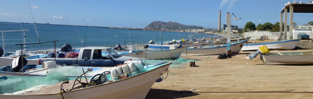 Maria del Mar Mancha-Cisneros