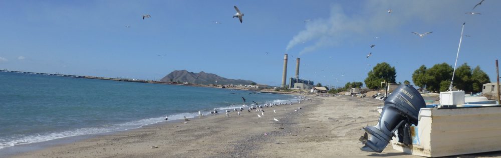 Maria del Mar Mancha-Cisneros