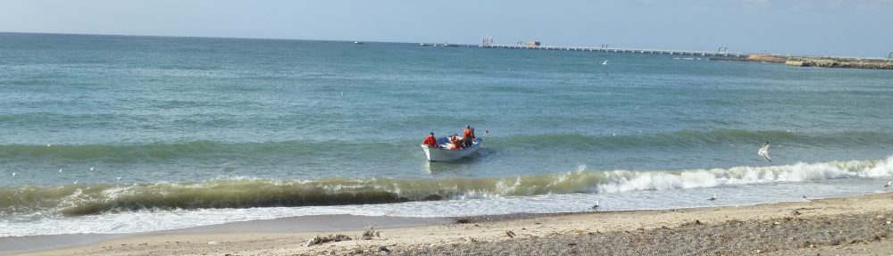 Maria del Mar Mancha-Cisneros