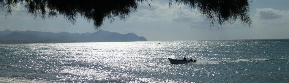 Maria del Mar Mancha-Cisneros