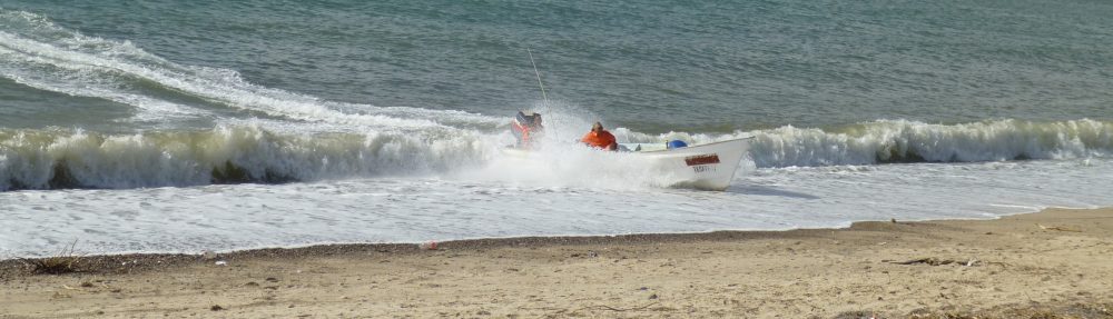 Maria del Mar Mancha-Cisneros