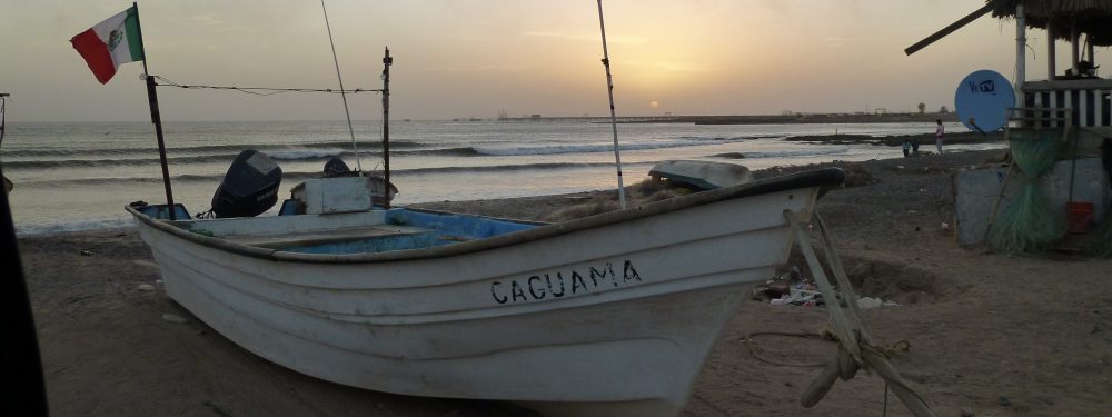 Maria del Mar Mancha-Cisneros