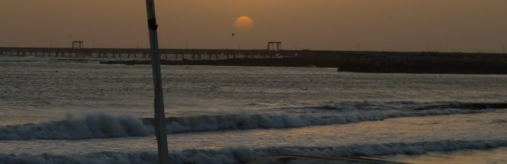 Maria del Mar Mancha-Cisneros