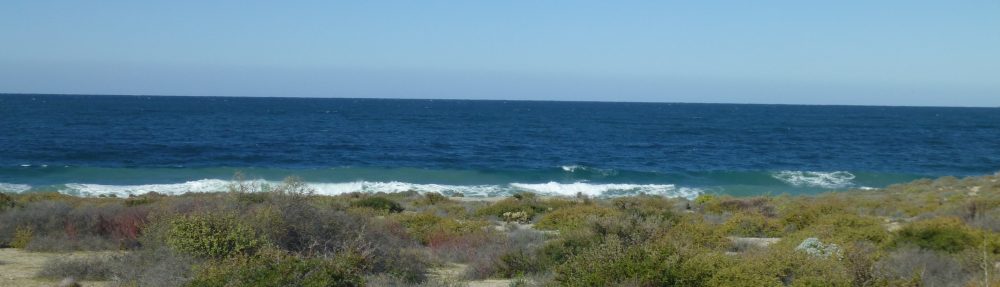 Maria del Mar Mancha-Cisneros