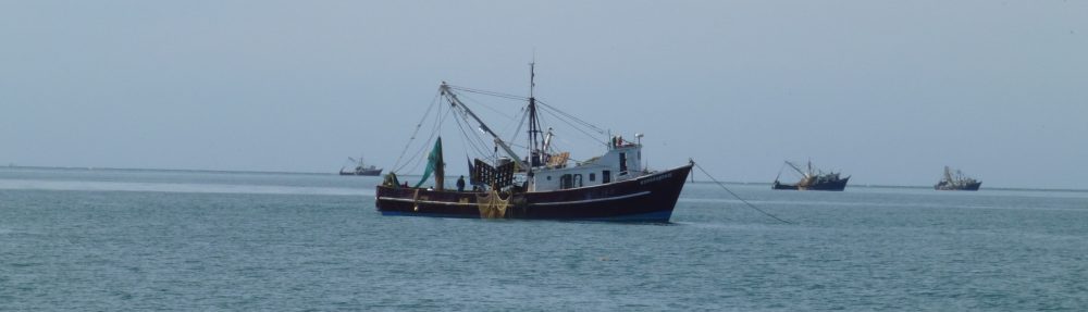 Maria del Mar Mancha-Cisneros