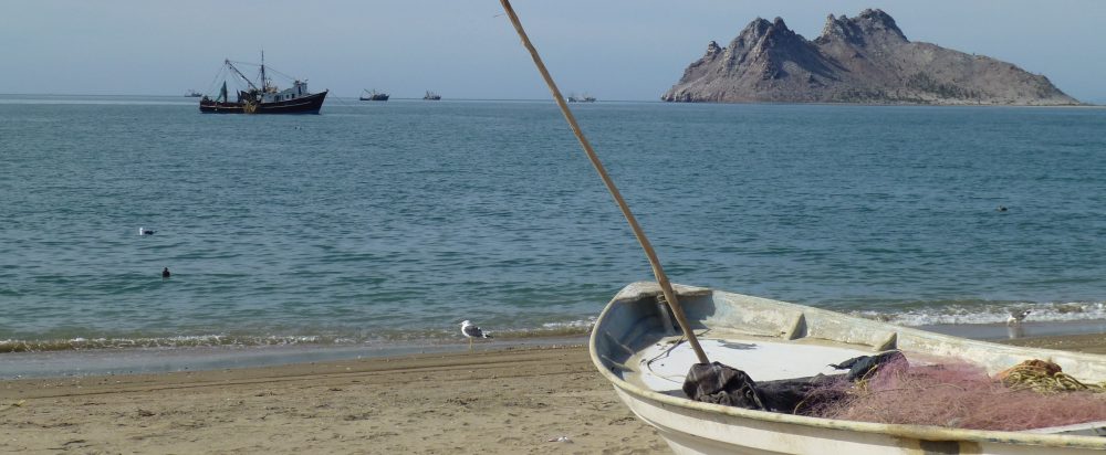 Maria del Mar Mancha-Cisneros