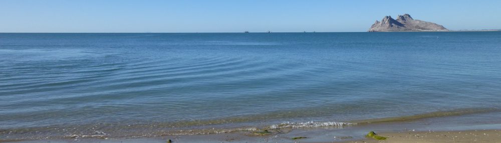 Maria del Mar Mancha-Cisneros