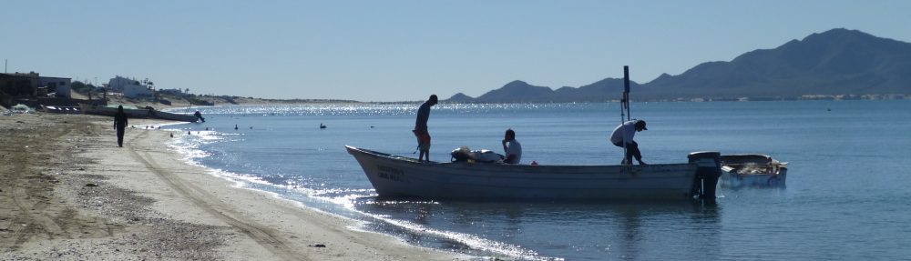 Maria del Mar Mancha-Cisneros