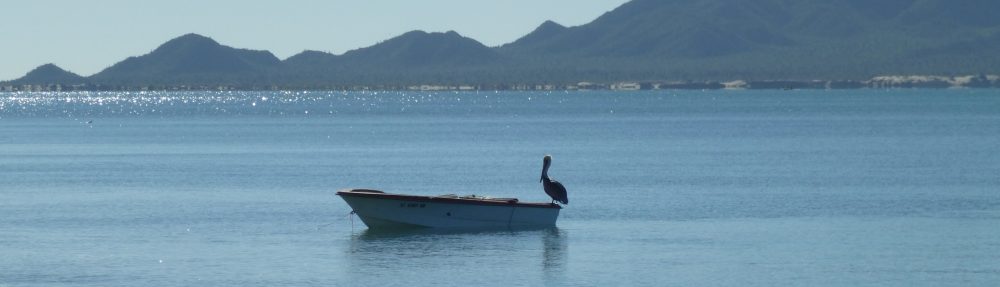 Maria del Mar Mancha-Cisneros