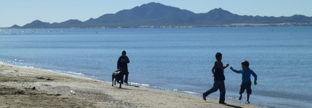 Maria del Mar Mancha-Cisneros