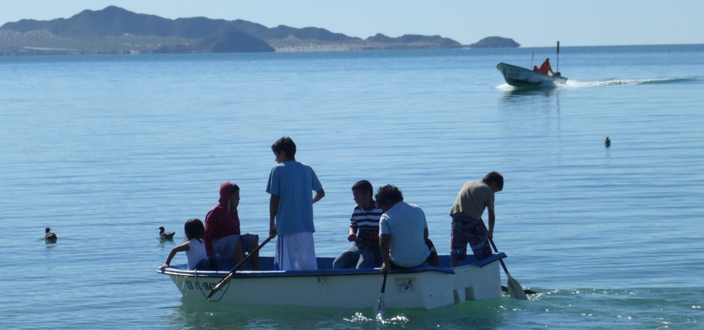 Maria del Mar Mancha-Cisneros