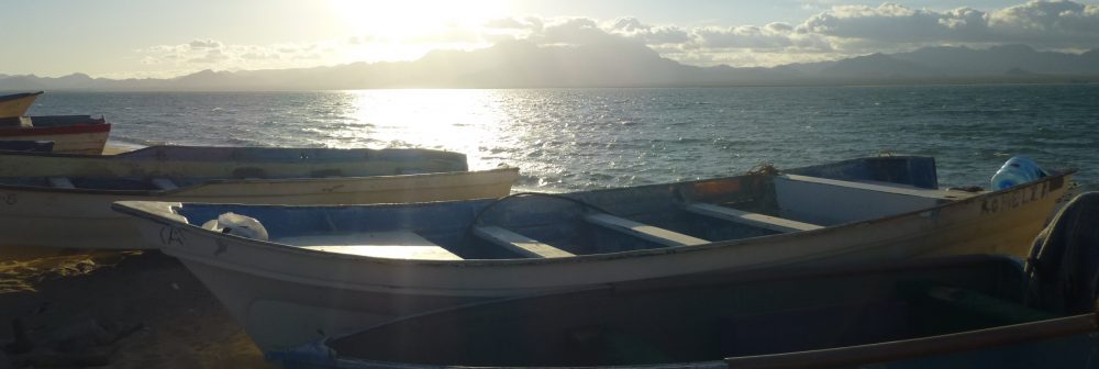 Maria del Mar Mancha-Cisneros