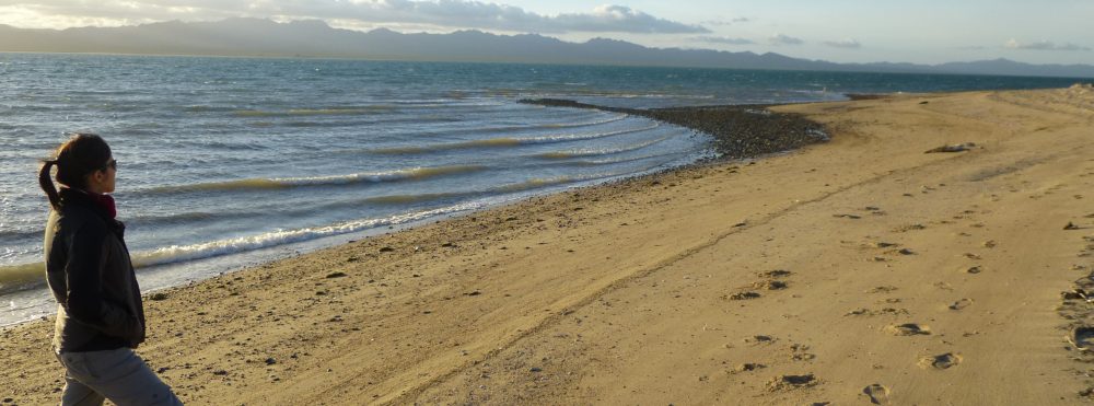 Maria del Mar Mancha-Cisneros