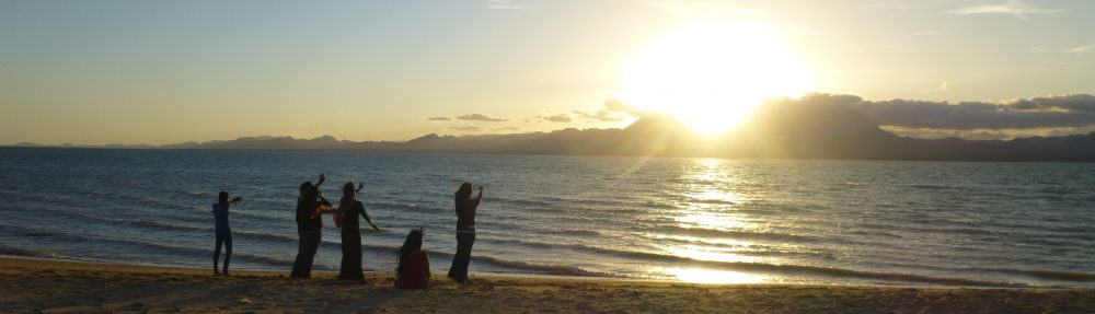 Maria del Mar Mancha-Cisneros