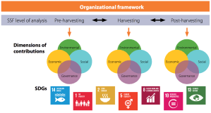 Org. Framework_IHH